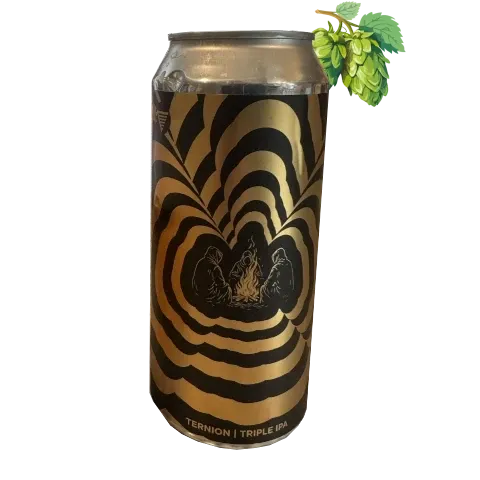 HOMES Brewery - TERNION