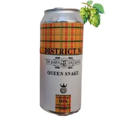 District 96 Beer Factory - Queen Snake