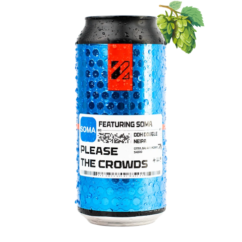 Prizm Brewing Co. - Please The Crowds