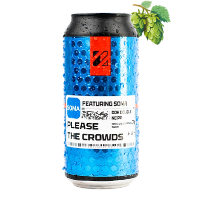 Prizm Brewing Co. - Please The Crowds