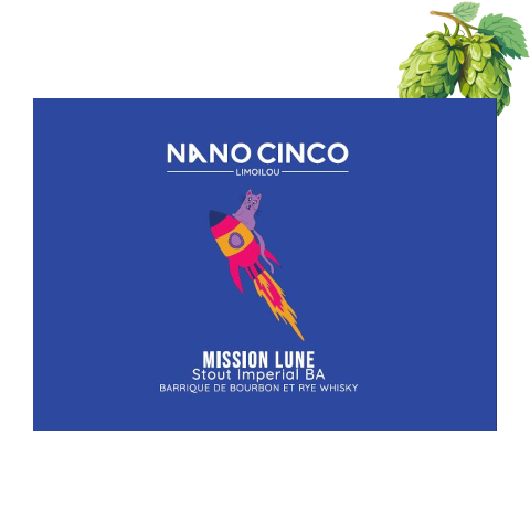 Nano Cinco - Mission Lune