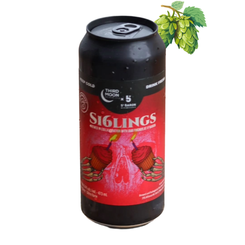 Third Moon - Si6lings