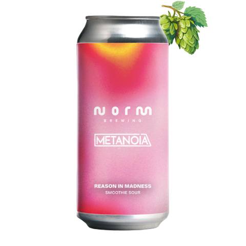 Norm - Reason In Madness