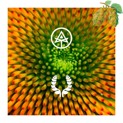 Autodidact Beer - In Bloom