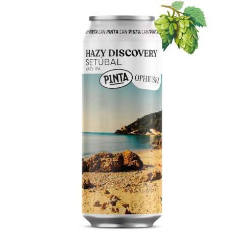 PINTA - Hazy Discovery Setúbal