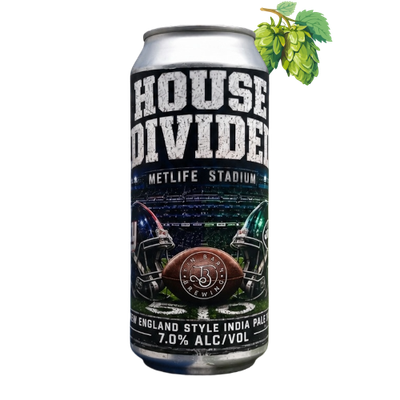 Tin Barn - House Divided