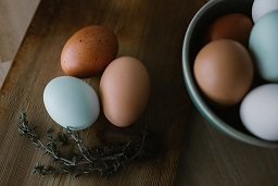 Pasture Raised Eggs One Dozen **SOLD OUT**