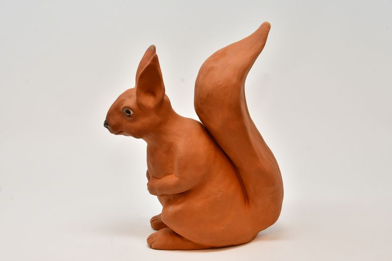 Eichhörnchen