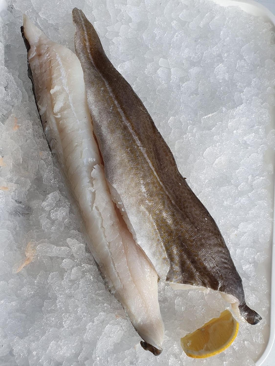 Cod
