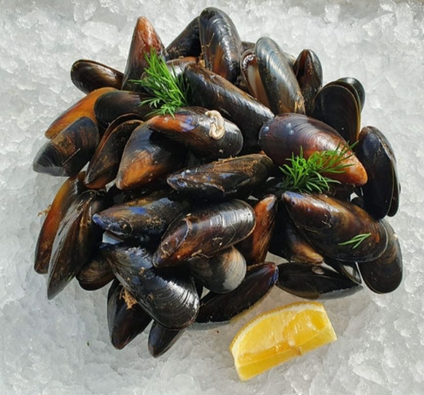 Fresh Shetland Mussels