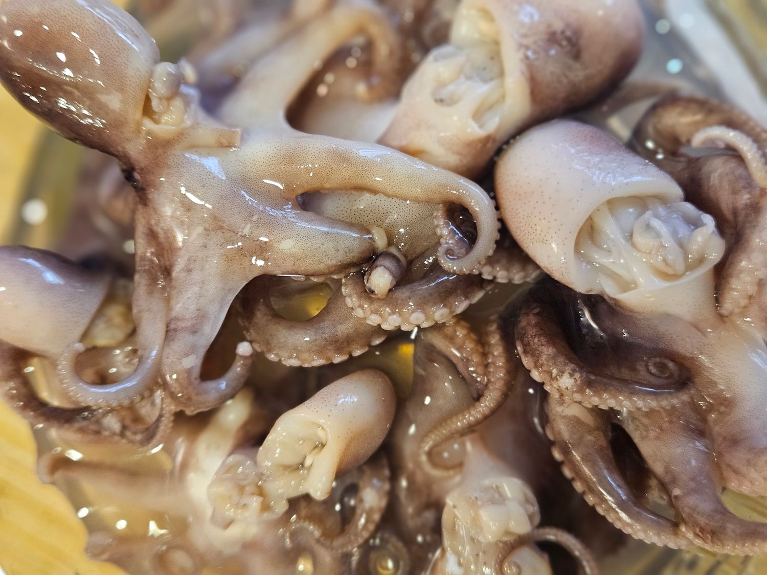 Baby Octopus Pickled