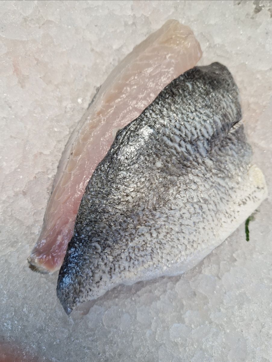 Seabream fillet