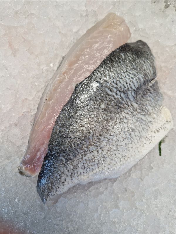 Seabream fillet Seabream fillet