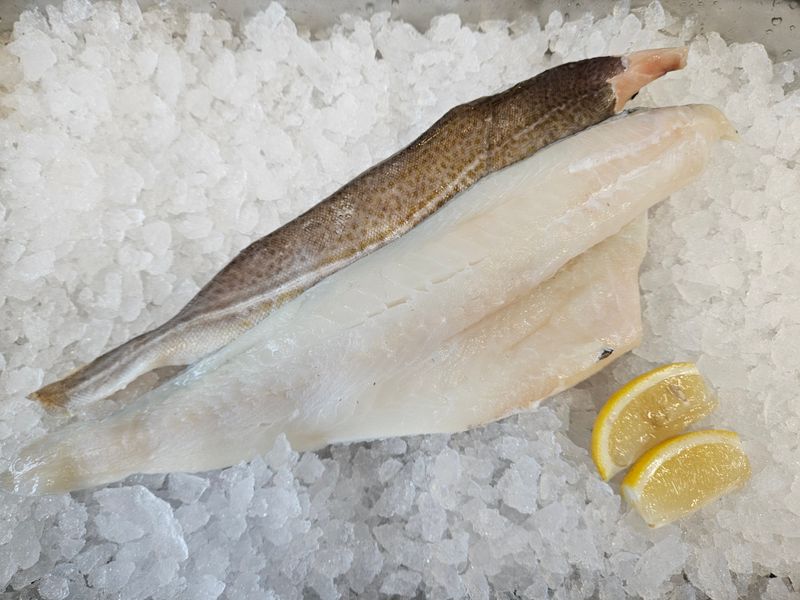 Cod fillet Cod fillet