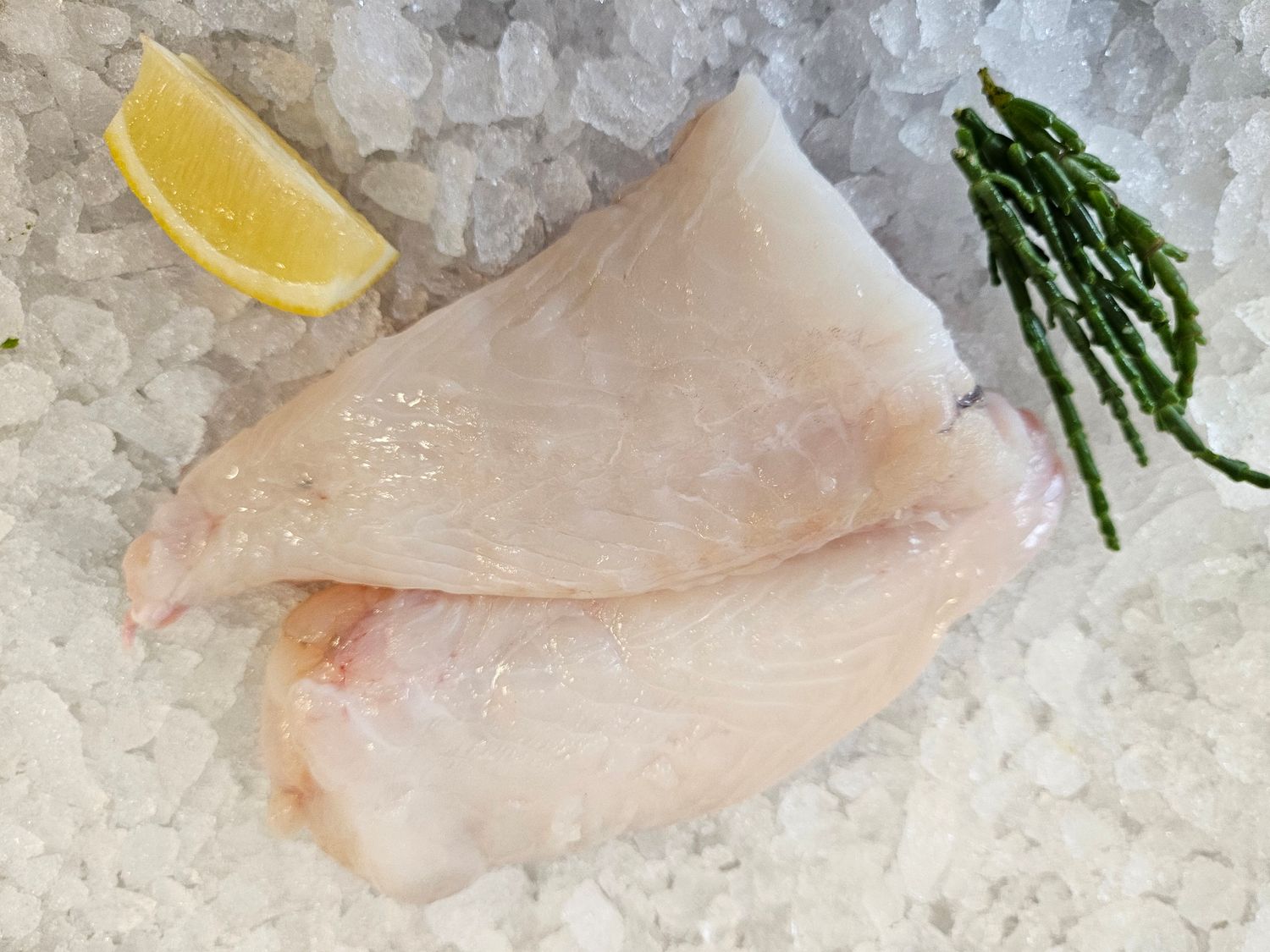 Monkfish fillet