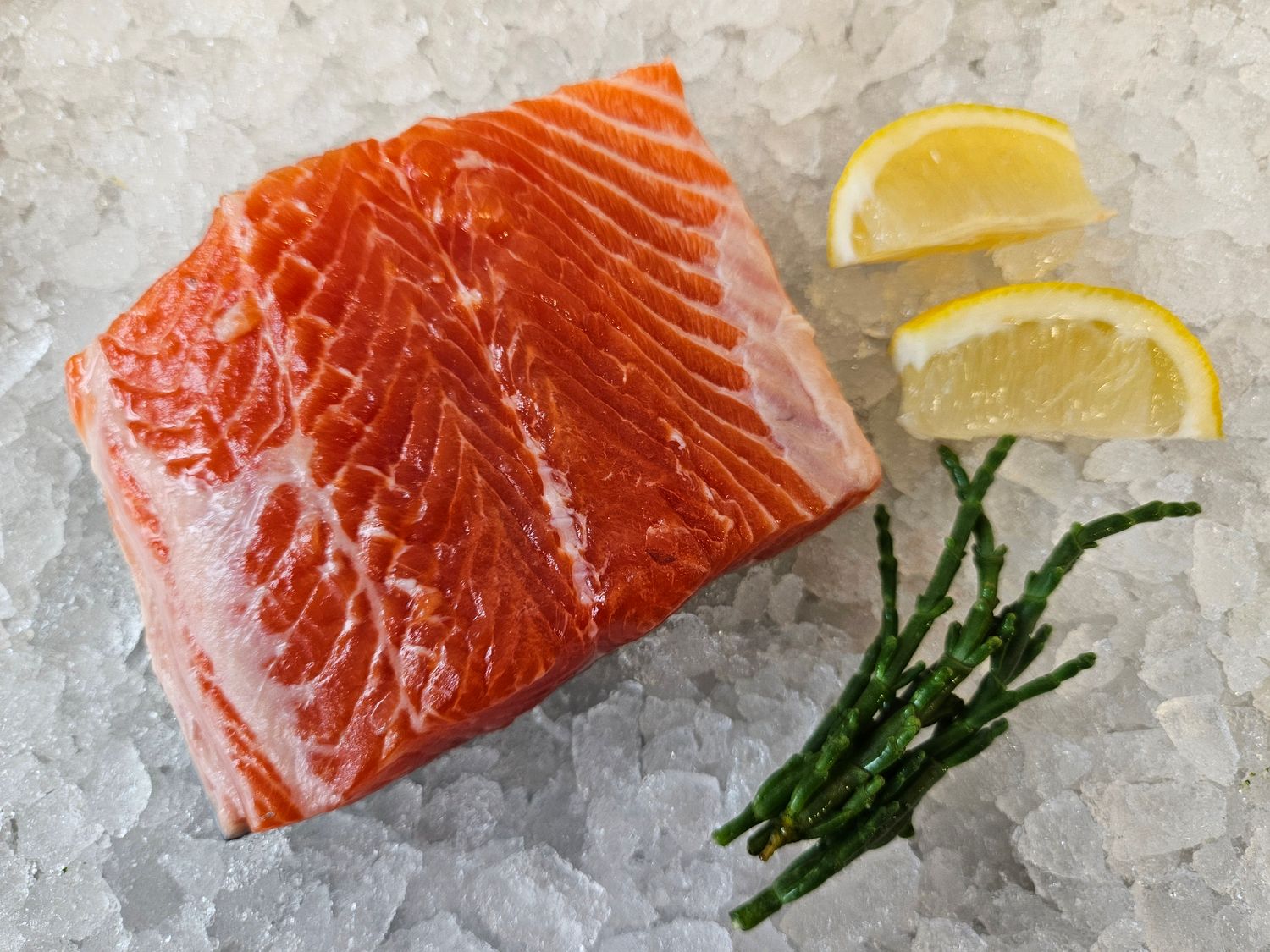 Chalk stream Trout