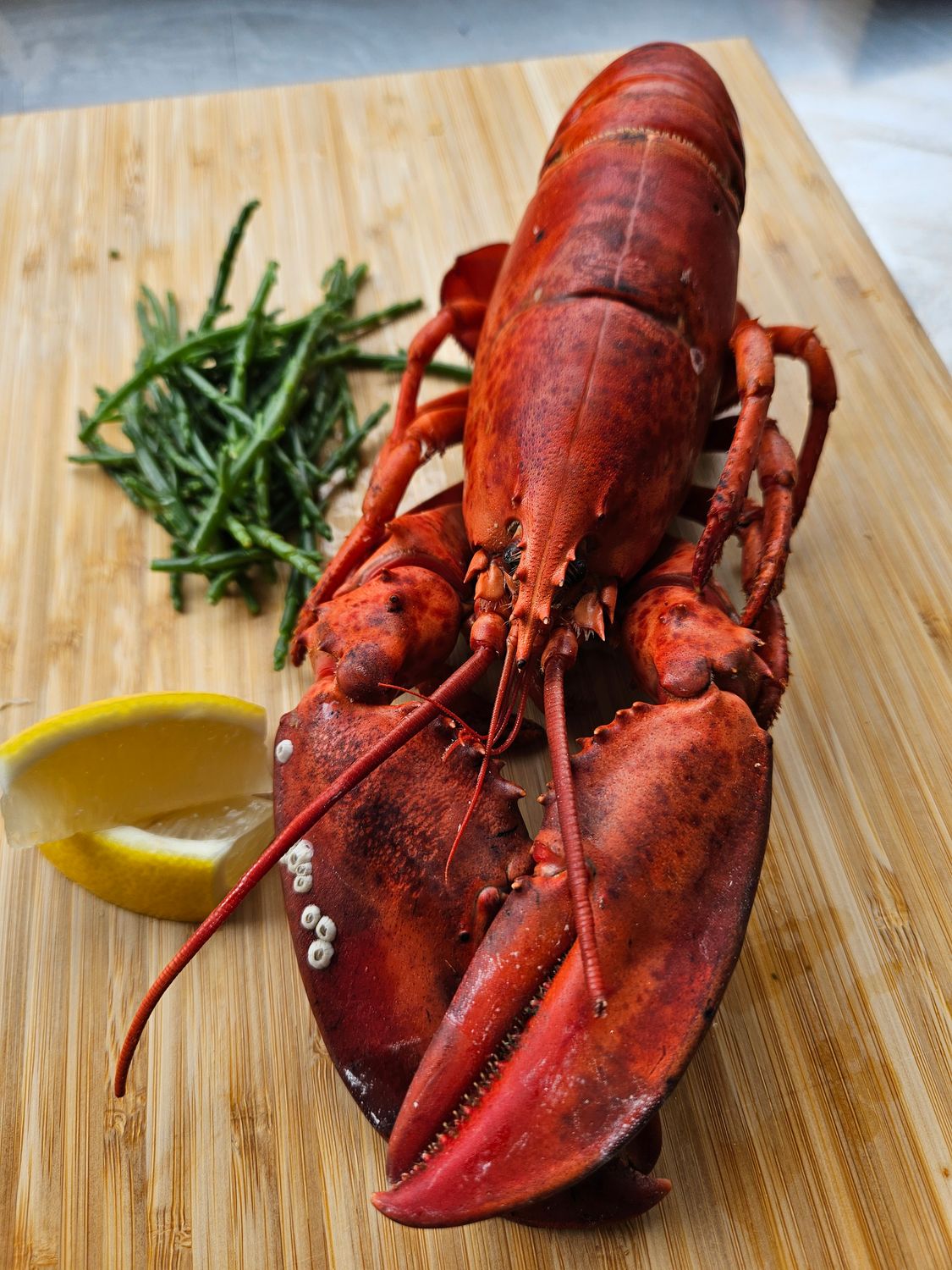 Cooked Lobster
