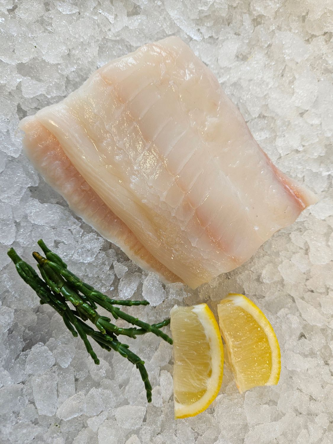 Halibut loin