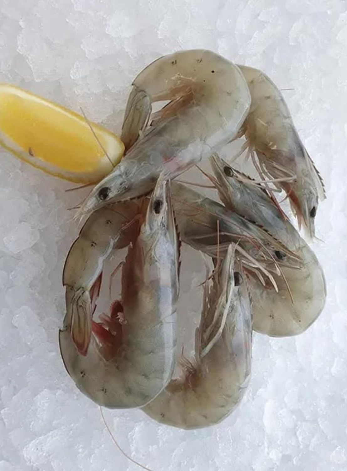 Raw King Prawn 200g