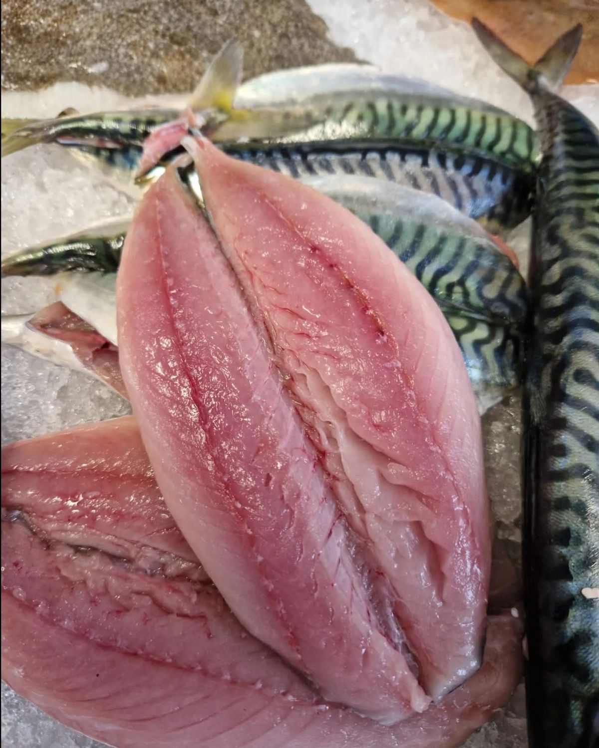 Butterfly Mackerel fillet