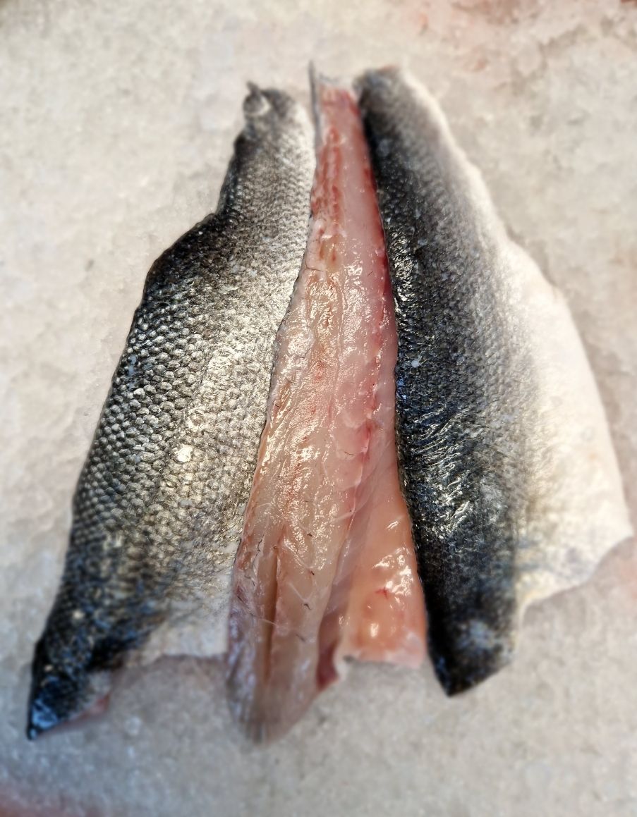 Seabass fillet