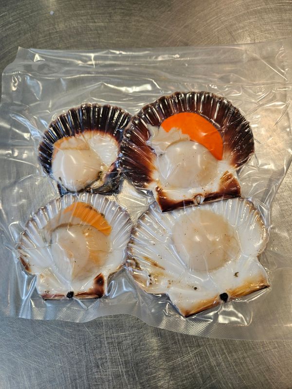 Scallops in half shell Scallops in half shell