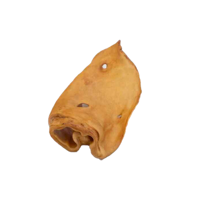 Oreille de Bœuf soufflée &amp; Fumée