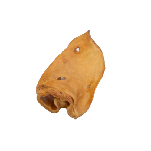 Oreille de Bœuf soufflée &amp; Fumée