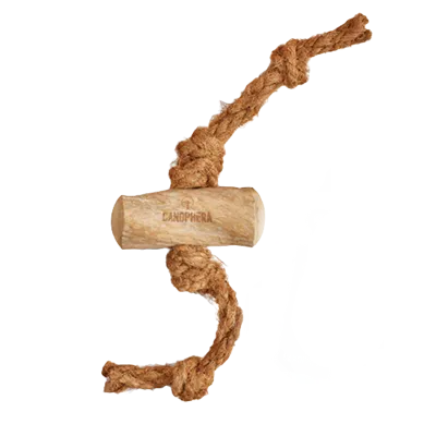 Bois de café avec corde de coconut