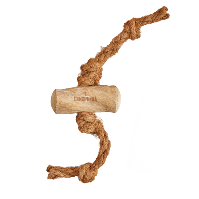 Bois de café avec corde de coconut