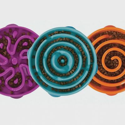 bol ralentisseur (fun feeder slo bowl)