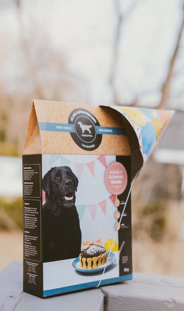 Todd &amp; Paul – Mélange à gâteau pour chien Pomme-Cannelle