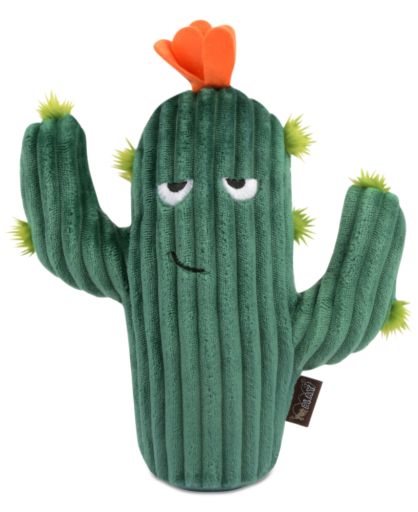 Cactus Toutou