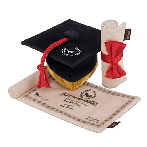 chapeau graduation toutou chapeau graduation toutou