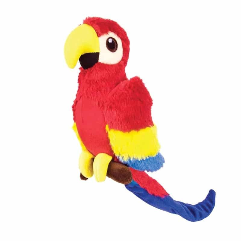 Perroquet toutou Perroquet toutou