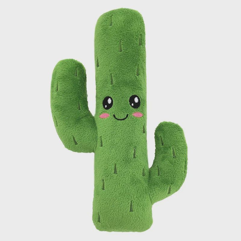 Cactus toutou Petkin