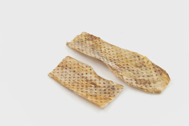 Languette vessie de boeuf