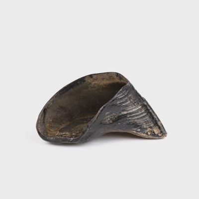 Sabot