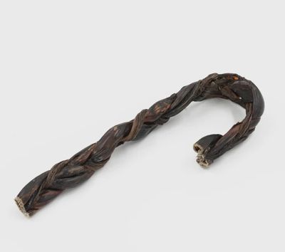 Oesophage de bœuf en canne