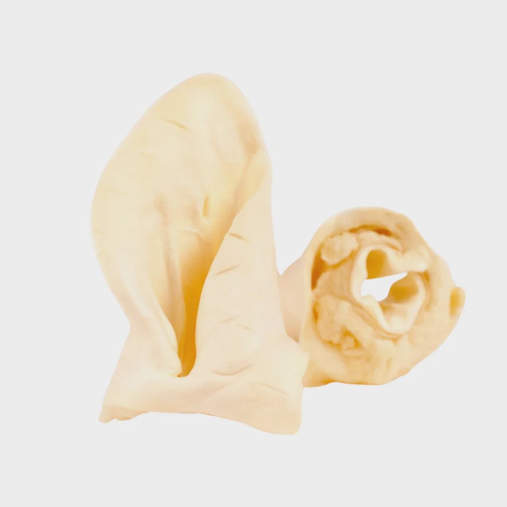 Oreille de bœuf soufflée