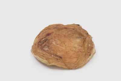 Vessie de boeuf (rond)