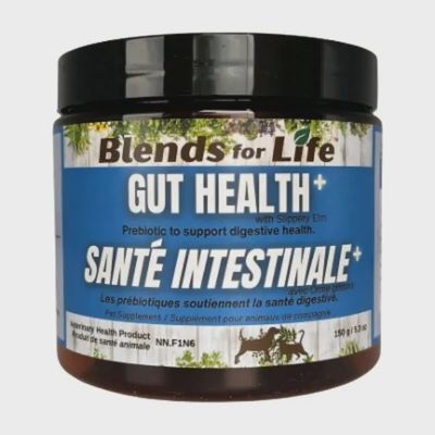 Santé intestinale