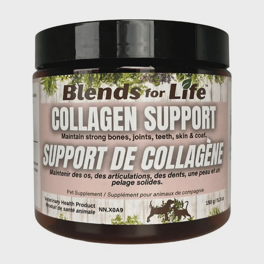 Support de collagène