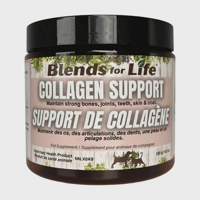 Support de collagène