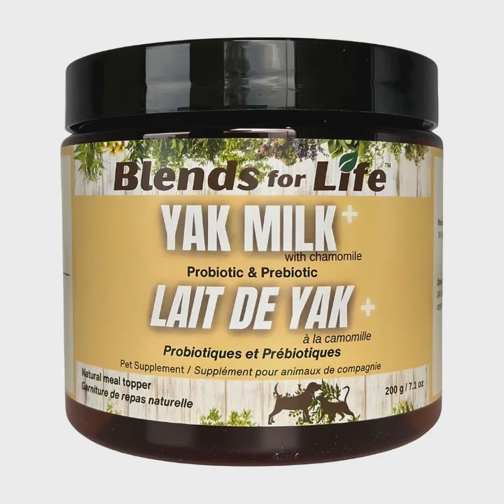 Lait de yak à la camomille