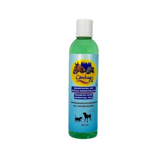 Shampooing aux huiles essentielles