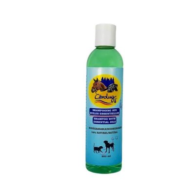 Shampooing aux huiles essentielles