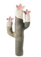 Cactus gris toutou