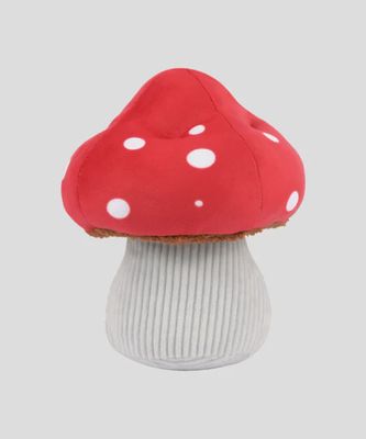 champignon toutou