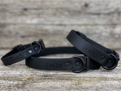 Collier en Biothane (Noir)